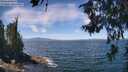 ./images/koeye/fitz-hugh/20260624/fitz-hugh20260624_124001M.jpg