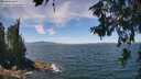 ./images/koeye/fitz-hugh/20260624/fitz-hugh20260624_125002M.jpg
