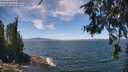 ./images/koeye/fitz-hugh/20260624/fitz-hugh20260624_130001M.jpg