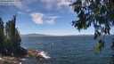 ./images/koeye/fitz-hugh/20260624/fitz-hugh20260624_131001M.jpg