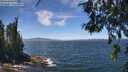 ./images/koeye/fitz-hugh/20260624/fitz-hugh20260624_131501M.jpg