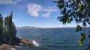./images/koeye/fitz-hugh/20260624/fitz-hugh20260624_132001M.jpg