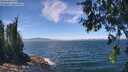 ./images/koeye/fitz-hugh/20260624/fitz-hugh20260624_132501M.jpg