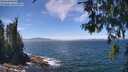 ./images/koeye/fitz-hugh/20260624/fitz-hugh20260624_133001M.jpg