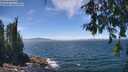 ./images/koeye/fitz-hugh/20260624/fitz-hugh20260624_133501M.jpg