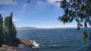 ./images/koeye/fitz-hugh/20260624/fitz-hugh20260624_134001M.jpg