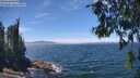 ./images/koeye/fitz-hugh/20260624/fitz-hugh20260624_134501M.jpg
