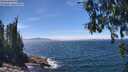 ./images/koeye/fitz-hugh/20260624/fitz-hugh20260624_135001M.jpg