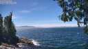 ./images/koeye/fitz-hugh/20260624/fitz-hugh20260624_135501M.jpg
