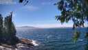 ./images/koeye/fitz-hugh/20260624/fitz-hugh20260624_140501M.jpg