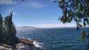 ./images/koeye/fitz-hugh/20260624/fitz-hugh20260624_141001M.jpg