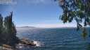 ./images/koeye/fitz-hugh/20260624/fitz-hugh20260624_141501M.jpg