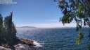 ./images/koeye/fitz-hugh/20260624/fitz-hugh20260624_143001M.jpg