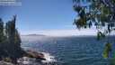./images/koeye/fitz-hugh/20260624/fitz-hugh20260624_143501M.jpg