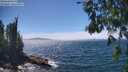 ./images/koeye/fitz-hugh/20260624/fitz-hugh20260624_144501M.jpg