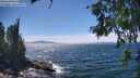 ./images/koeye/fitz-hugh/20260624/fitz-hugh20260624_145001M.jpg