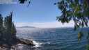 ./images/koeye/fitz-hugh/20260624/fitz-hugh20260624_145501M.jpg