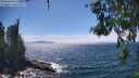 ./images/koeye/fitz-hugh/20260624/fitz-hugh20260624_150501M.jpg