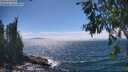 ./images/koeye/fitz-hugh/20260624/fitz-hugh20260624_151001M.jpg