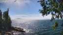 ./images/koeye/fitz-hugh/20260624/fitz-hugh20260624_152501M.jpg