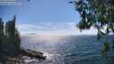 ./images/koeye/fitz-hugh/20260624/fitz-hugh20260624_154501M.jpg