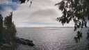 ./images/koeye/fitz-hugh/20260624/fitz-hugh20260624_171001M.jpg