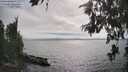 ./images/koeye/fitz-hugh/20260624/fitz-hugh20260624_171501M.jpg