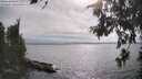 ./images/koeye/fitz-hugh/20260624/fitz-hugh20260624_172001M.jpg