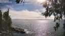 ./images/koeye/fitz-hugh/20260624/fitz-hugh20260624_173501M.jpg