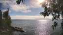 ./images/koeye/fitz-hugh/20260624/fitz-hugh20260624_175002M.jpg