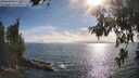 ./images/koeye/fitz-hugh/20260624/fitz-hugh20260624_181001M.jpg