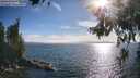 ./images/koeye/fitz-hugh/20260624/fitz-hugh20260624_182501M.jpg