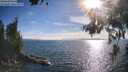 ./images/koeye/fitz-hugh/20260624/fitz-hugh20260624_183001M.jpg