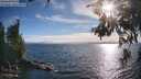 ./images/koeye/fitz-hugh/20260624/fitz-hugh20260624_184501M.jpg
