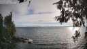 ./images/koeye/fitz-hugh/20260624/fitz-hugh20260624_192501M.jpg