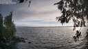 ./images/koeye/fitz-hugh/20260624/fitz-hugh20260624_194002M.jpg