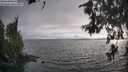 ./images/koeye/fitz-hugh/20260624/fitz-hugh20260624_195501M.jpg