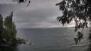 ./images/koeye/fitz-hugh/20260624/fitz-hugh20260624_200501M.jpg