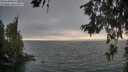 ./images/koeye/fitz-hugh/20260624/fitz-hugh20260624_202002M.jpg