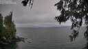 ./images/koeye/fitz-hugh/20260624/fitz-hugh20260624_203501M.jpg