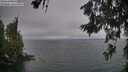 ./images/koeye/fitz-hugh/20260624/fitz-hugh20260624_205001M.jpg