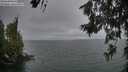 ./images/koeye/fitz-hugh/20260624/fitz-hugh20260624_205501M.jpg