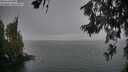 ./images/koeye/fitz-hugh/20260624/fitz-hugh20260624_214502M.jpg