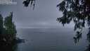 ./images/koeye/fitz-hugh/20260624/fitz-hugh20260624_221501M.jpg
