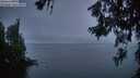 ./images/koeye/fitz-hugh/20260624/fitz-hugh20260624_222001M.jpg