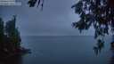 ./images/koeye/fitz-hugh/20260624/fitz-hugh20260624_222501M.jpg