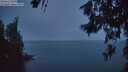 ./images/koeye/fitz-hugh/20260624/fitz-hugh20260624_223001M.jpg
