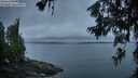 ./images/koeye/fitz-hugh/20260625/fitz-hugh20260625_050001M.jpg