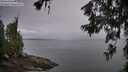 ./images/koeye/fitz-hugh/20260625/fitz-hugh20260625_053501M.jpg