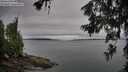 ./images/koeye/fitz-hugh/20260625/fitz-hugh20260625_063501M.jpg